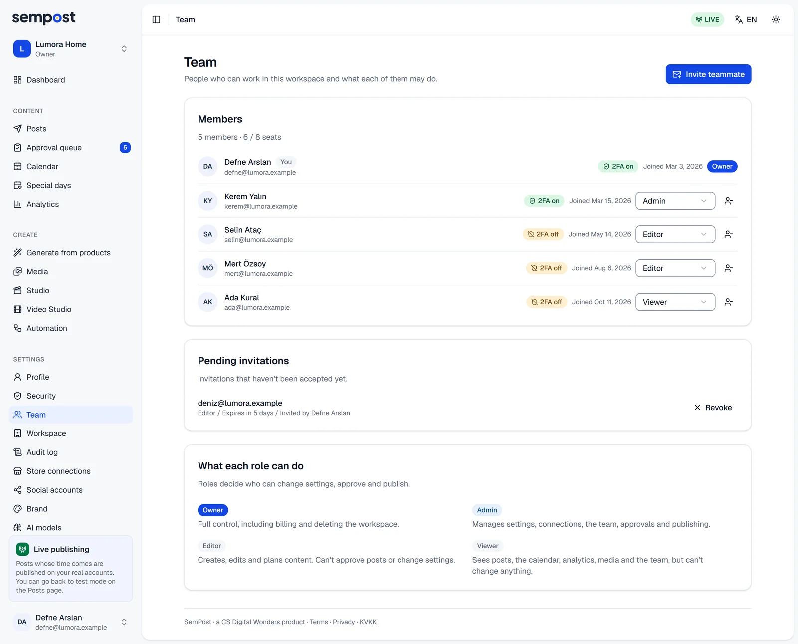 The Team page: members with their roles, a pending invitation and the What each role can do card